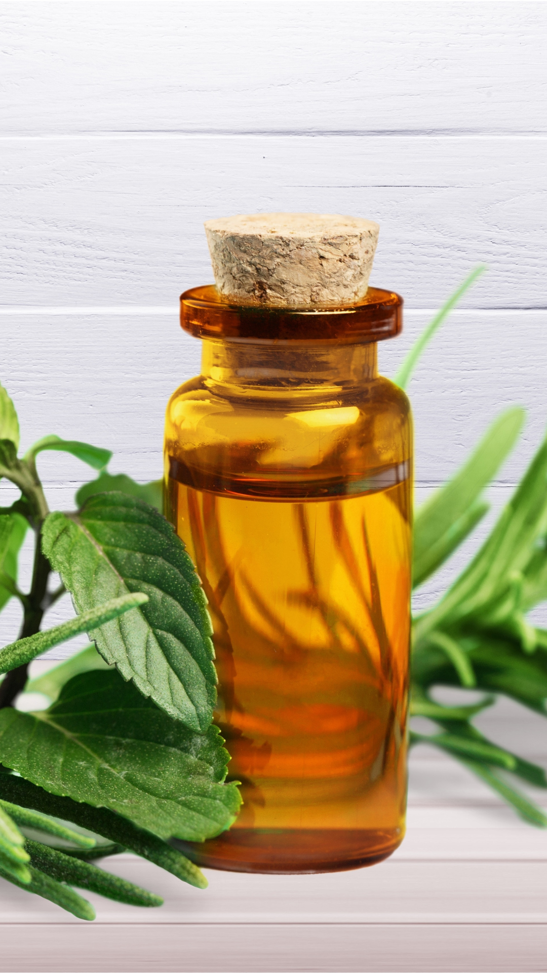 Tea Tree Oil