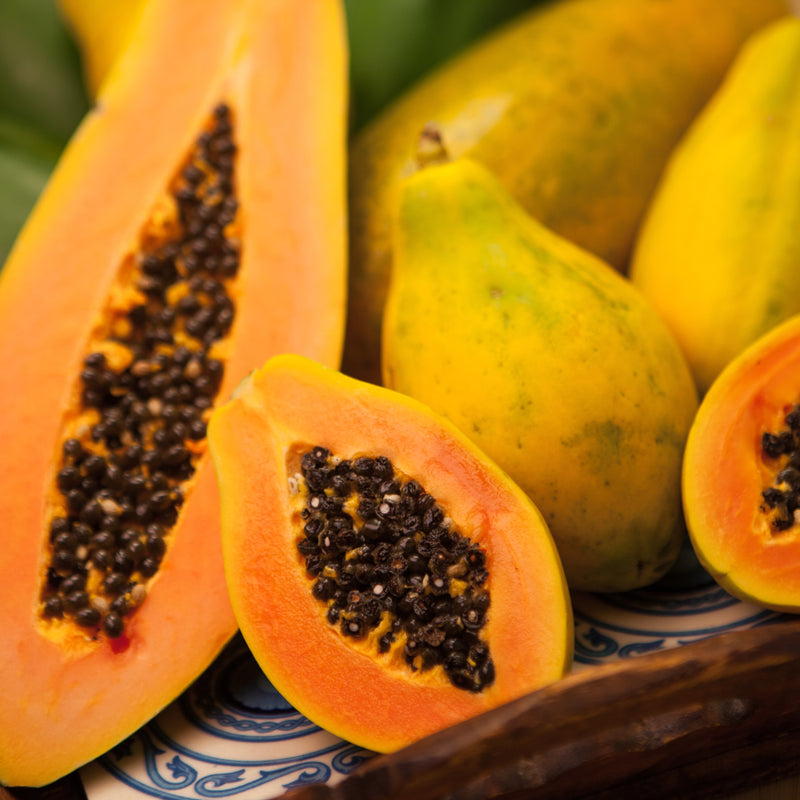 Carica  Papaya Extract