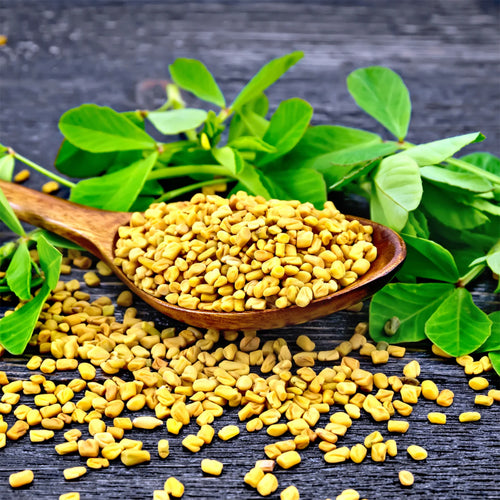 Fenugreek  Extract