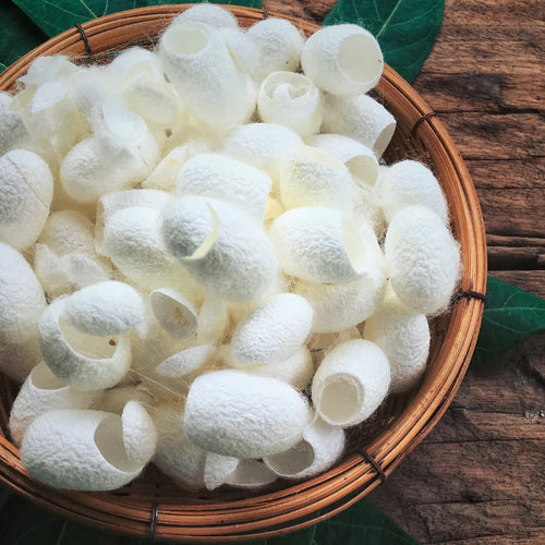 Hydrolyzed  Silk (Peptides)